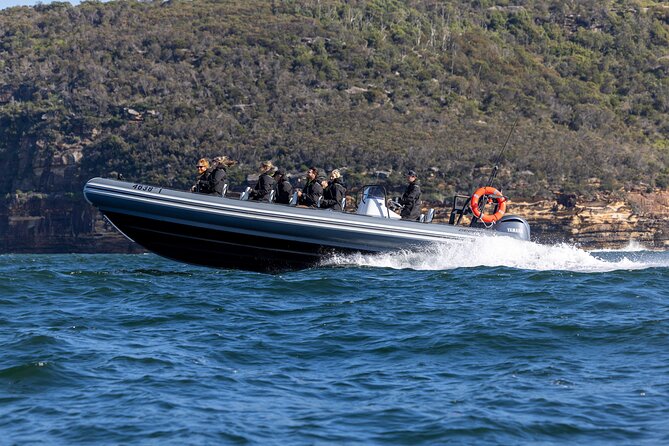 Sydney Whale Watching on Small RIB - The high-speed return to Circular Quay