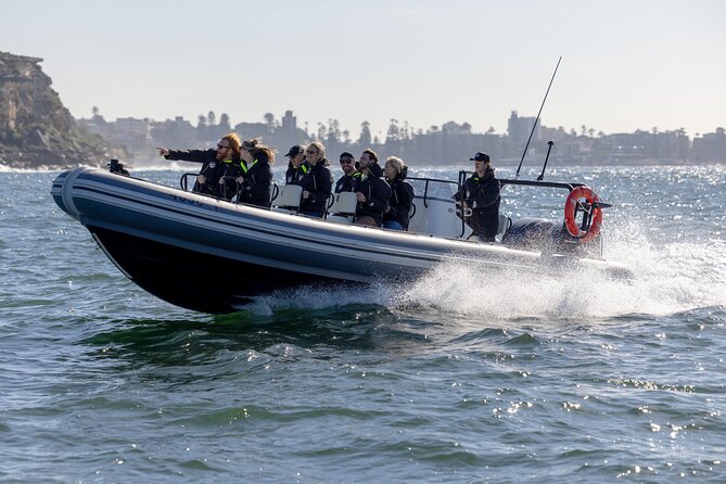 Sydney Whale Watching on Small RIB - Is $98.93 a fair price?