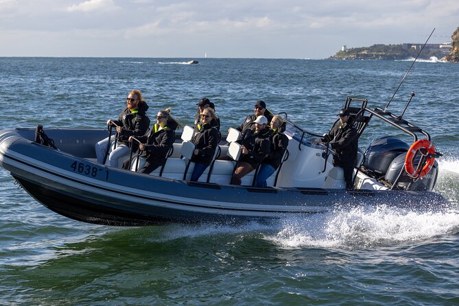 Sydney Whale Watching on Small RIB - Who will enjoy this trip most?