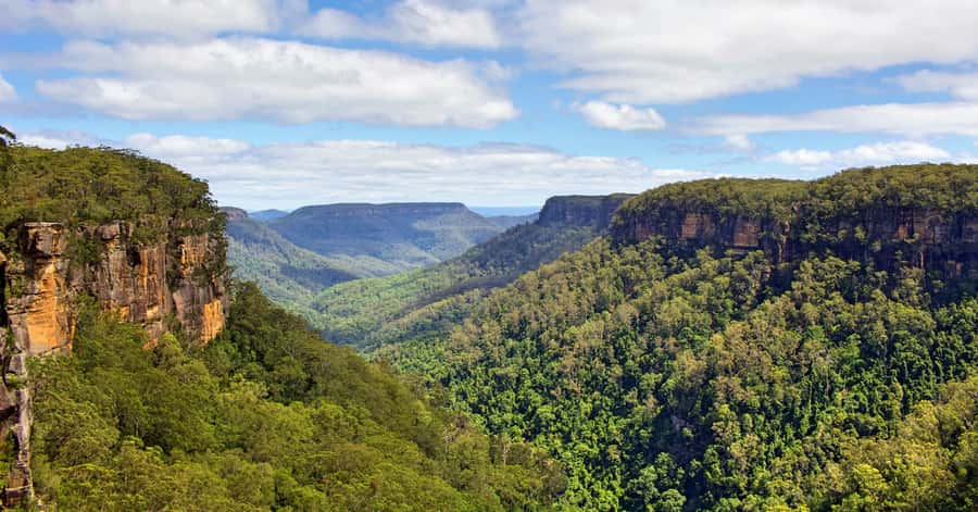 Sydney: Wildlife, Waterfalls and Wine Small Group Tour - Should you book the Wildlife, Waterfalls and Wine tour?