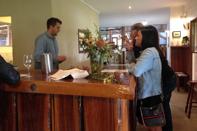 Sydney Wine Tours - Private Wine Tasting Tour to Hunter Valley - The driver matters when tastings are the point