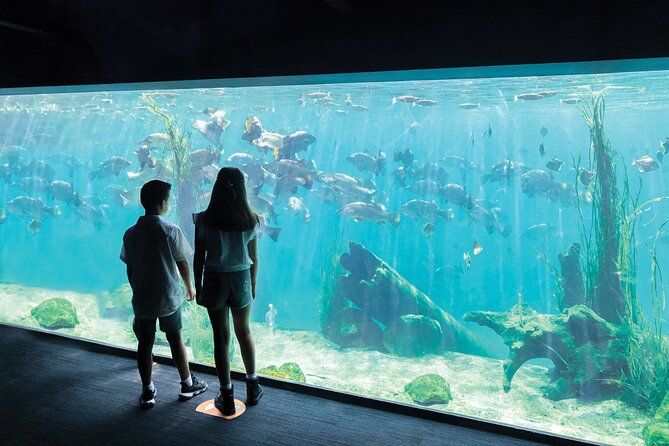 Sydney Zoo General Entry Admission Ticket - More than 4,000 species, but plan your energy