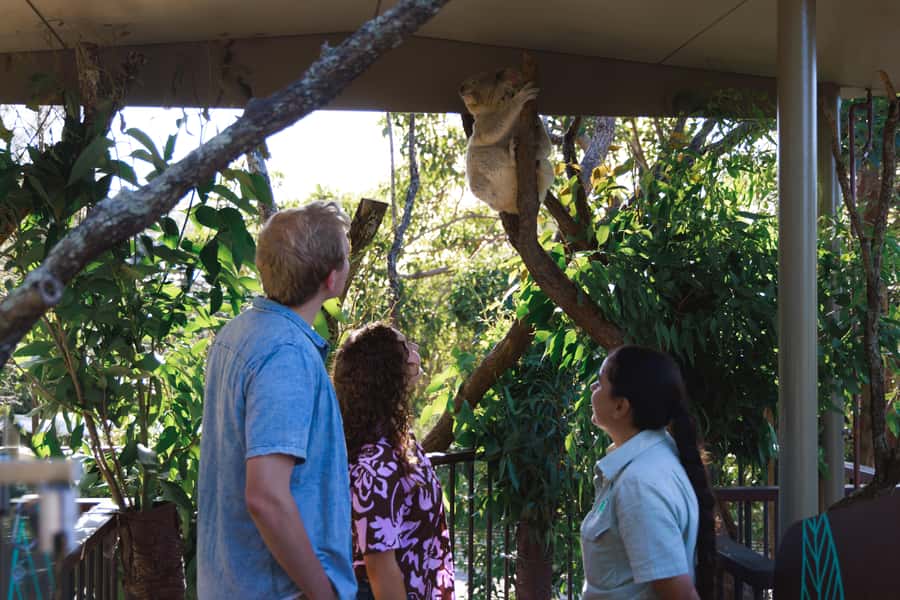 Taronga Zoo Sydney Wild Australia Experience - Why this tour feels different from ordinary zoo entry