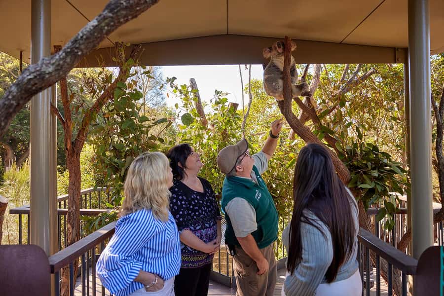 Taronga Zoo Sydney Wild Australia Experience - What your two hours are likely to feel like
