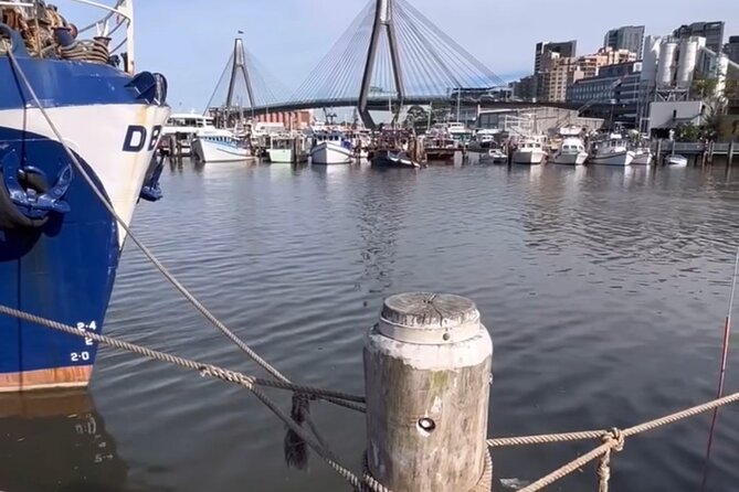 Taste of Sydney Tour (mini coach) - How the five-hour schedule feels