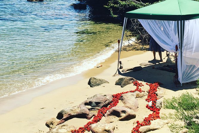 The Top Ten Hidden Harbour Beaches Tour with Jen - Why Sydney’s lesser-known beaches are worth your morning