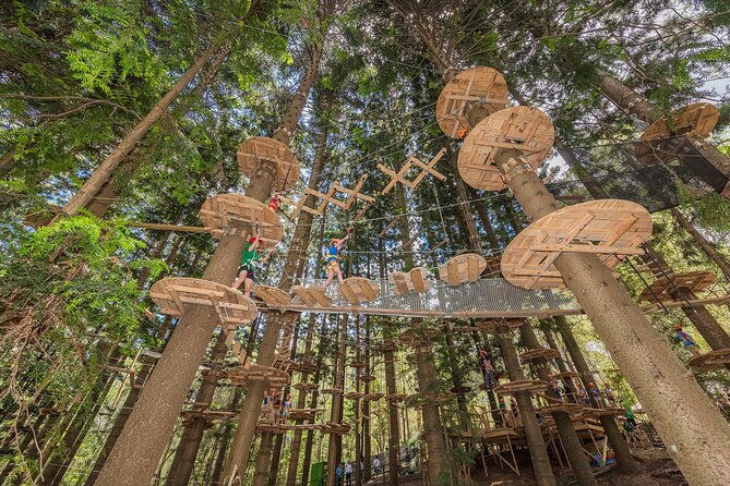 Treetops Adventure The Hills - Tree Ropes Course - Nine routes and three levels of difficulty