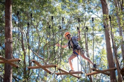 Treetops Adventure The Hills – Tree Ropes Course