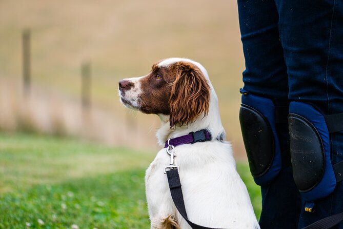 Truffle Hunt and Taste Experience in Oberon, NSW Australia - The grading session adds real value