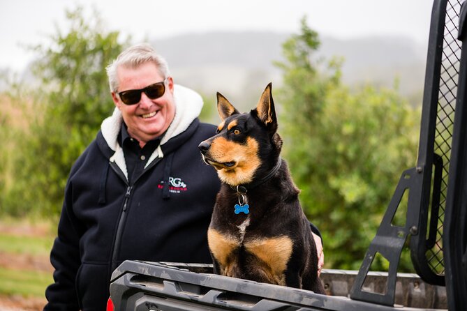 Truffle Hunt and Taste Experience in Oberon, NSW Australia - Is the A$157.79 price fair?
