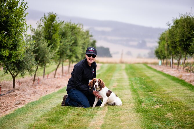 Truffle Hunt and Taste Experience in Oberon, NSW Australia - Learning how Sarge finds the prize