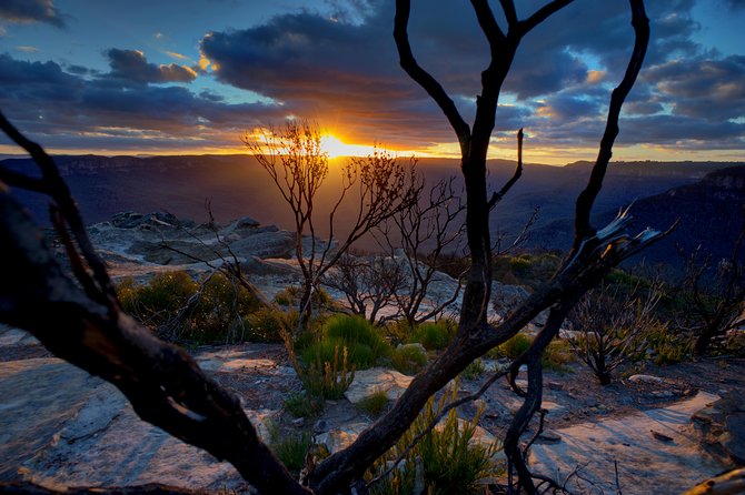 Ultimate Blue Mountains and Wildlife Tour - Key points to know before booking