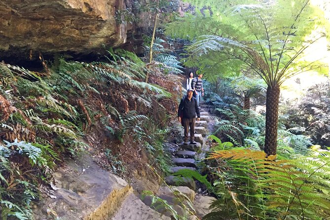 Ultimate Blue Mountains Private Tour with Scenic World and Wildlife Park - Leura lunch and a small mountain-town pause