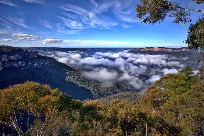 Unforgettable Blue Mountains Day Tour - Why the tiny group matters in Glenbrook