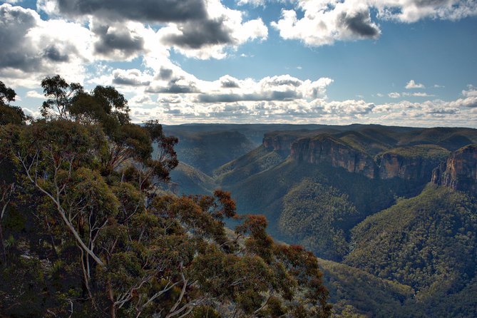 Unforgettable Blue Mountains Day Tour - Who should book this Blue Mountains day tour