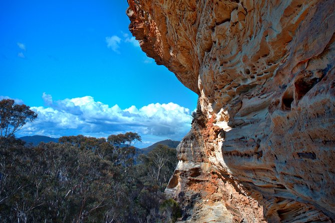 Unforgettable Blue Mountains Day Tour - Tea, fruit, biscuits, and a welcome pause