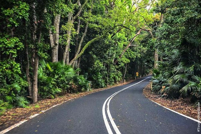 Waves Waterfalls and Wineries Full-Day Southern Highlands Private Tour - Why this Southern Highlands route works so well