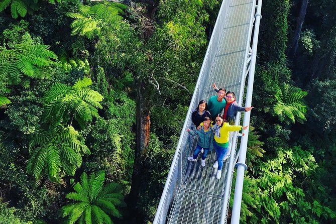 Waves Waterfalls and Wineries Full-Day Southern Highlands Private Tour - Fitzroy Falls and the short cliff-top walk
