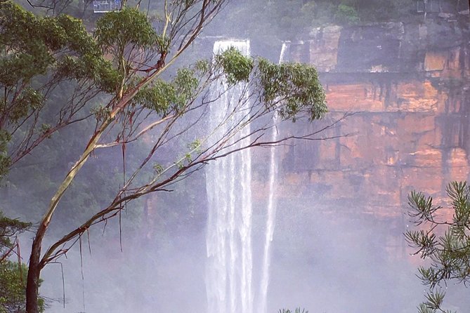 Waves Waterfalls and Wineries Full-Day Southern Highlands Private Tour - The ride back to Sydney