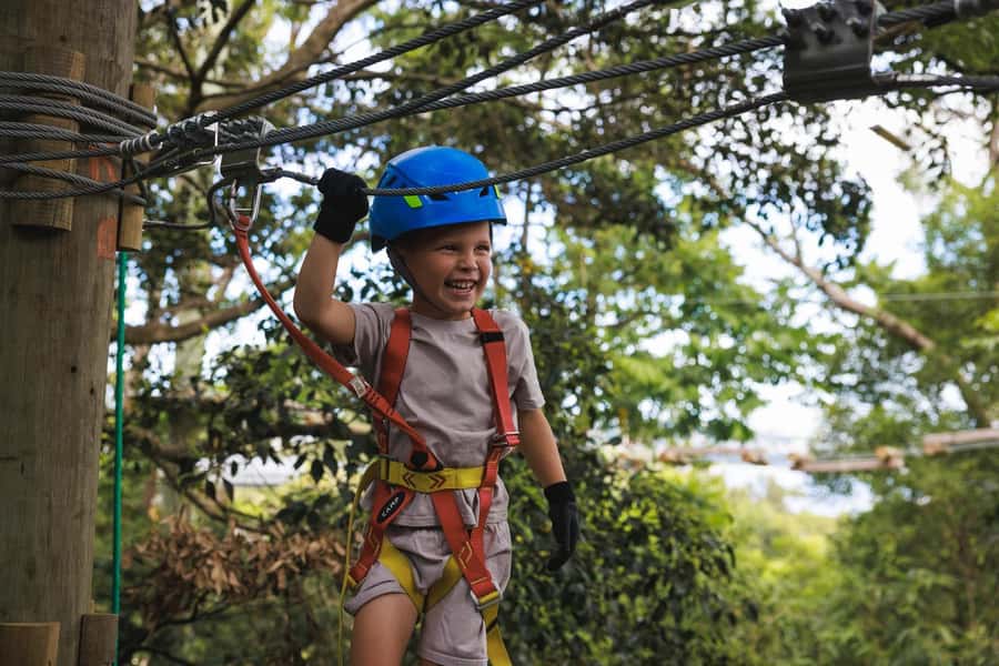 Western Sydney: Junior Tree Ropes Courses - Four treetop courses made for small climbers