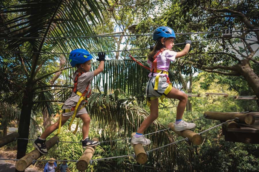 Western Sydney: Junior Tree Ropes Courses - How the four stages suit different ages