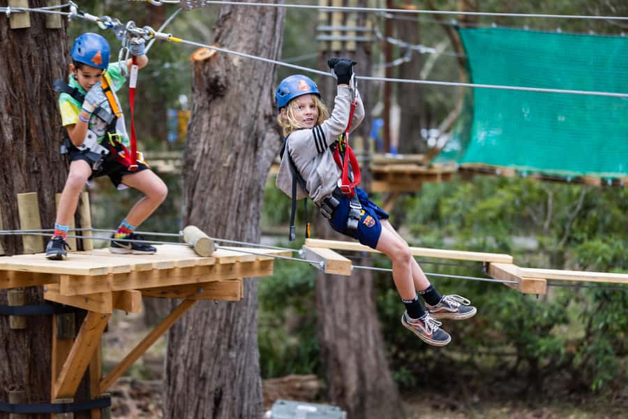 Western Sydney: Junior Tree Ropes Courses - What the 150-minute session feels like