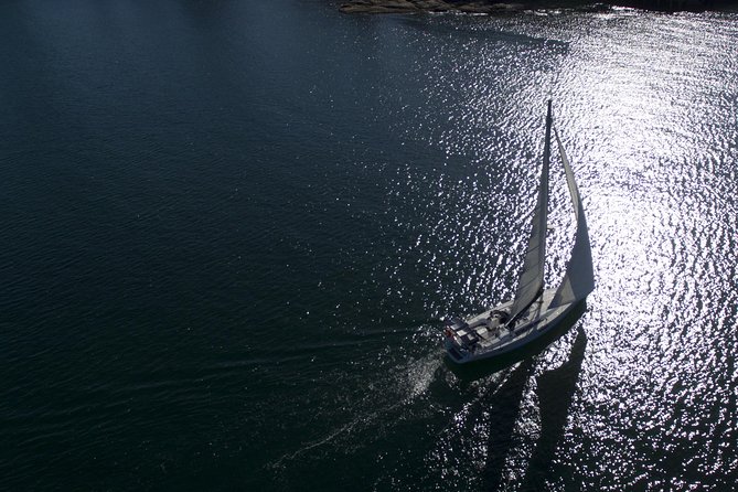 Whale Watching Sailing Experience in Sydney - Seasickness, comfort, and what to prepare for