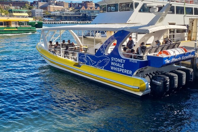 Whale Watching Sydney - Key points to know before booking