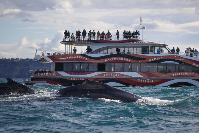 Whale Watching Sydney 2-Hour Express Cruise - Crowds, accessibility, and comfort