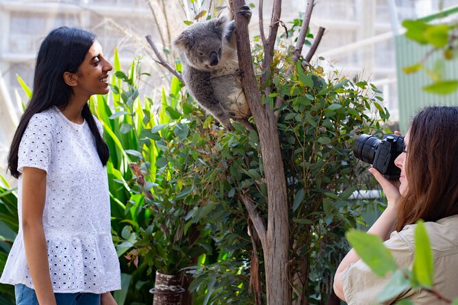 WILD LIFE Sydney Entrance Ticket - Breakfast with the koalas