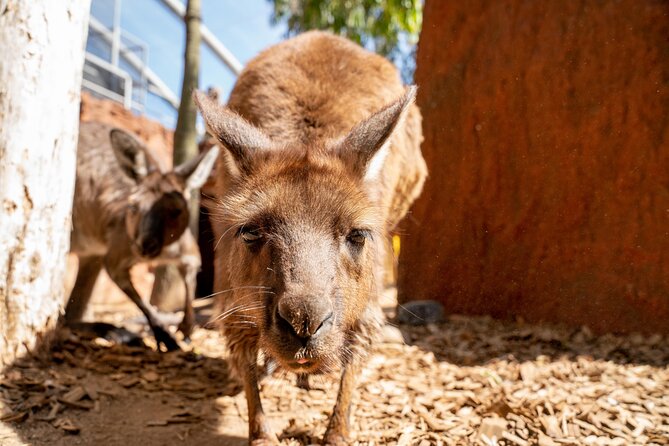 WILD LIFE Sydney Entrance Ticket - Is the $27.97 ticket good value?
