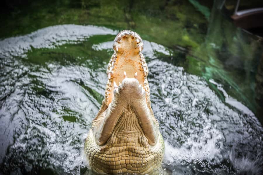 WILD LIFE Sydney Zoo - Who should book WILD LIFE Sydney Zoo?