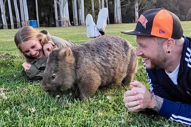 WILD Wombat and Kangaroo Day Tour, All Inclusive - Macquarie Pass turns the drive into part of the experience