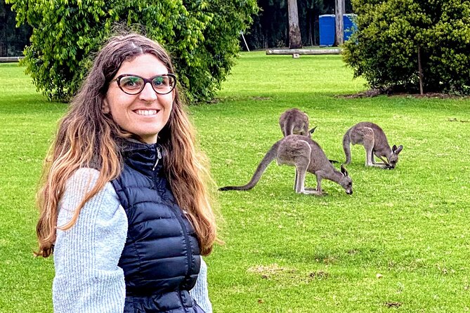 WILD Wombat and Kangaroo Day Tour, All Inclusive - Carrington Falls adds a quiet forest walk