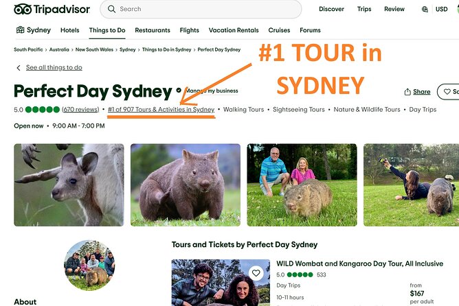 WILD Wombat and Kangaroo Day Tour, All Inclusive - Sublime Point begins the day with a sharp coastal view
