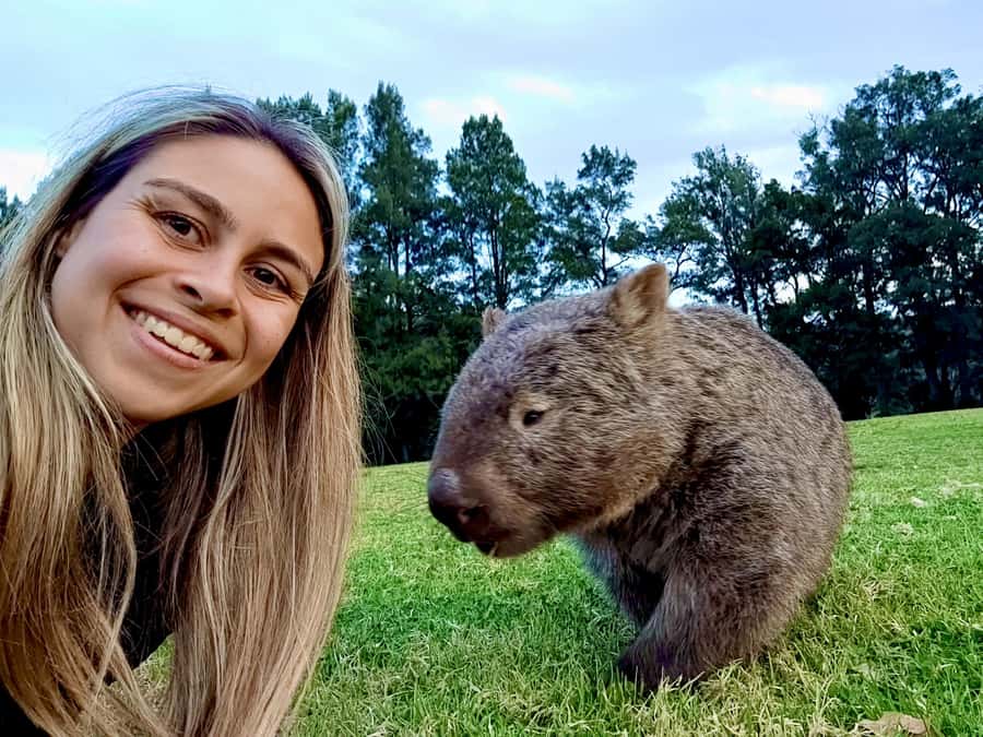 WILD Wombats and Kangaroo Experience, All Inclusive, Sydney - Wombats, kangaroos, and respectful close encounters