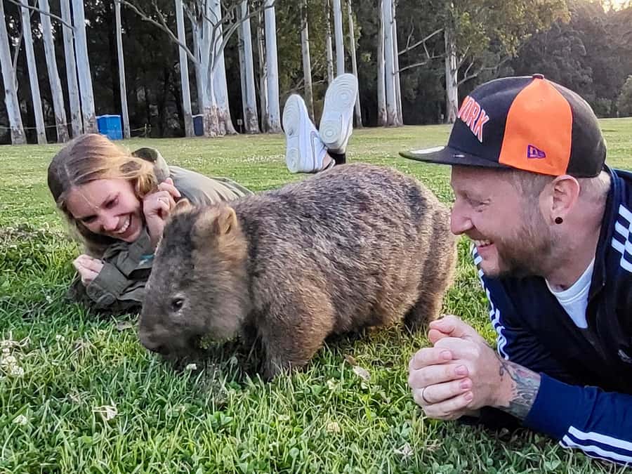 WILD Wombats and Kangaroo Experience, All Inclusive, Sydney - The real prize is the wombat valley
