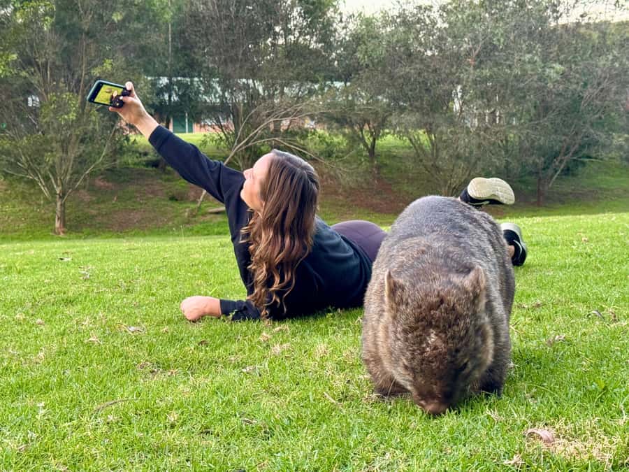 WILD Wombats and Kangaroo Experience, All Inclusive, Sydney - Cliff views before the forest roads