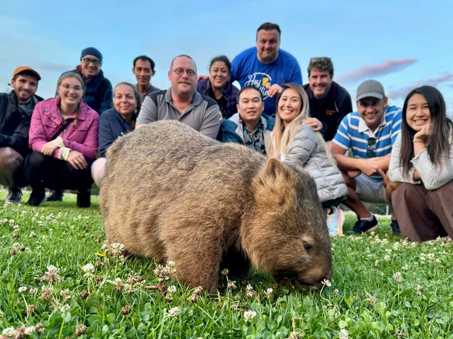 WILD Wombats and Kangaroo Experience, All Inclusive, Sydney - Dinner at a historic country pub