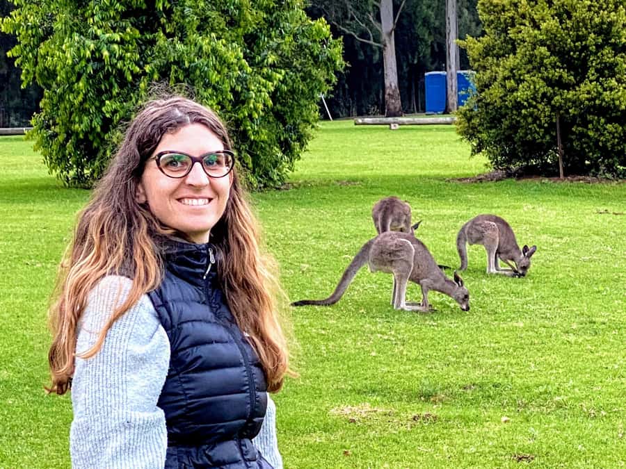 WILD Wombats and Kangaroo Experience, All Inclusive, Sydney - An early start and a scenic ride south