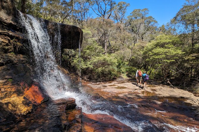 Wilderness, Waterfalls, Three Sisters BLUE MOUNTAINS PRIVATE TOUR - Wentworth Falls and the Valley of the Waters