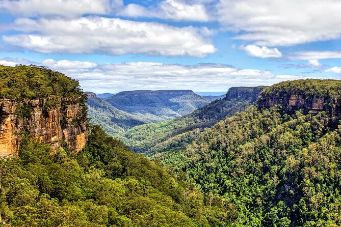 Wildlife, Waterfalls and Wine Day Tour from Sydney - Fitzroy Falls and the short nature walk