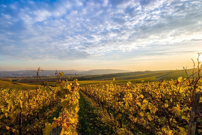 Wine Tours Sydney - Southern Highlands Day Escape, Full Day Wine Tasting Tour - Key points to know before booking
