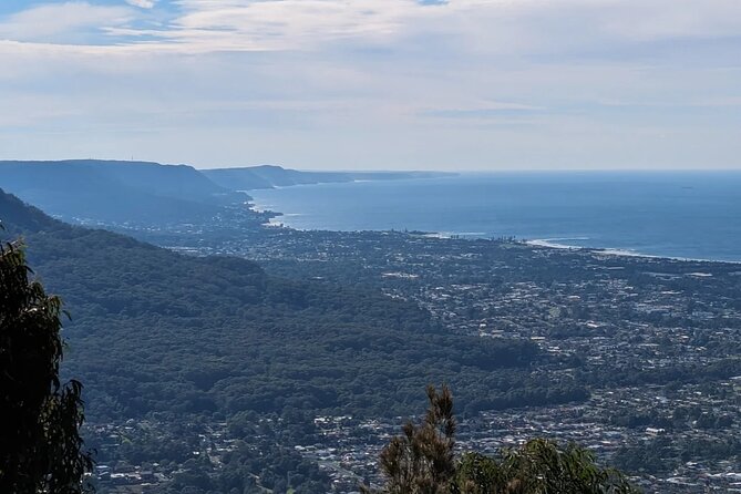 Wombat and Kangaroo Wildlife Tour from Sydney - Why Kangaroo Valley makes a strong wildlife day trip