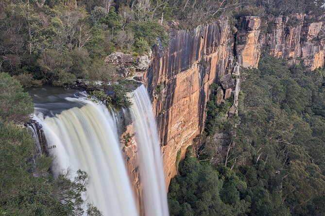 Wombat and Kangaroo Wildlife Tour from Sydney - Kangaroo Valley is the main wildlife appointment