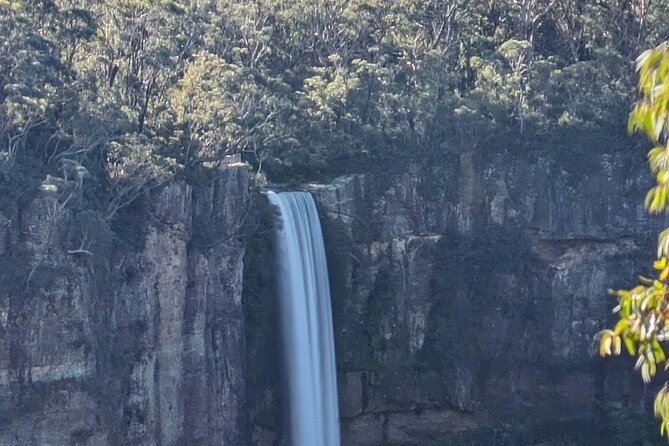 Wombat and Kangaroo Wildlife Tour from Sydney - What five hours of driving really means